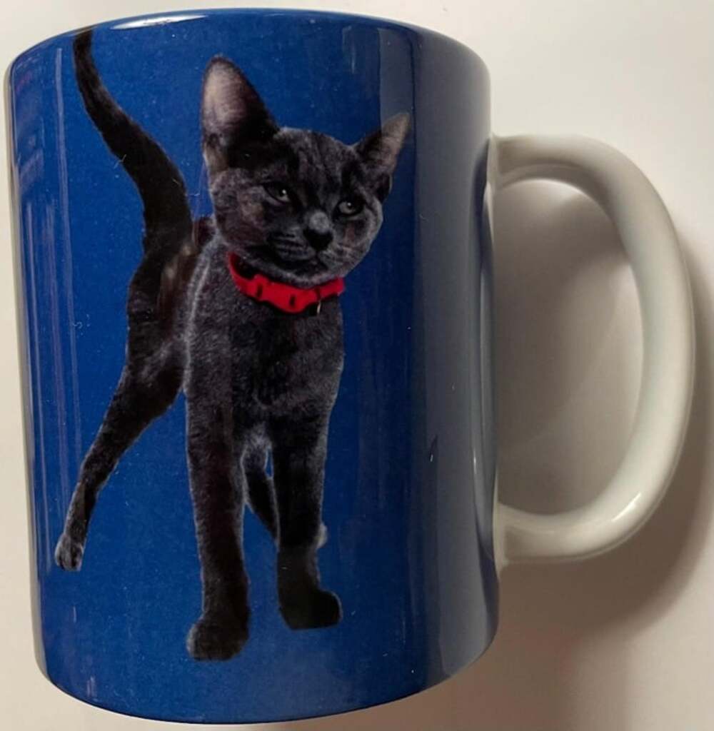 New RARE 2015 Hallmark Channel Kitten Bowl 2 "Aaron Pawdgers" Promotional Mug